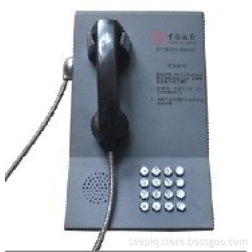 Armored public Courtesy Phone